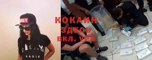 кокс Белокуриха