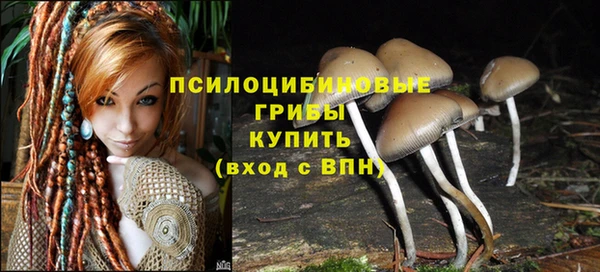 COCAINE Богородицк