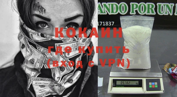 кокс Белокуриха
