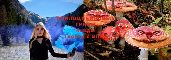 спайс Беломорск